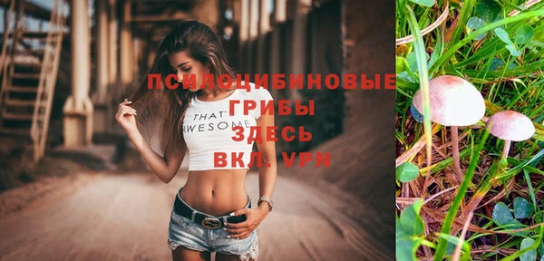 метадон Алексин